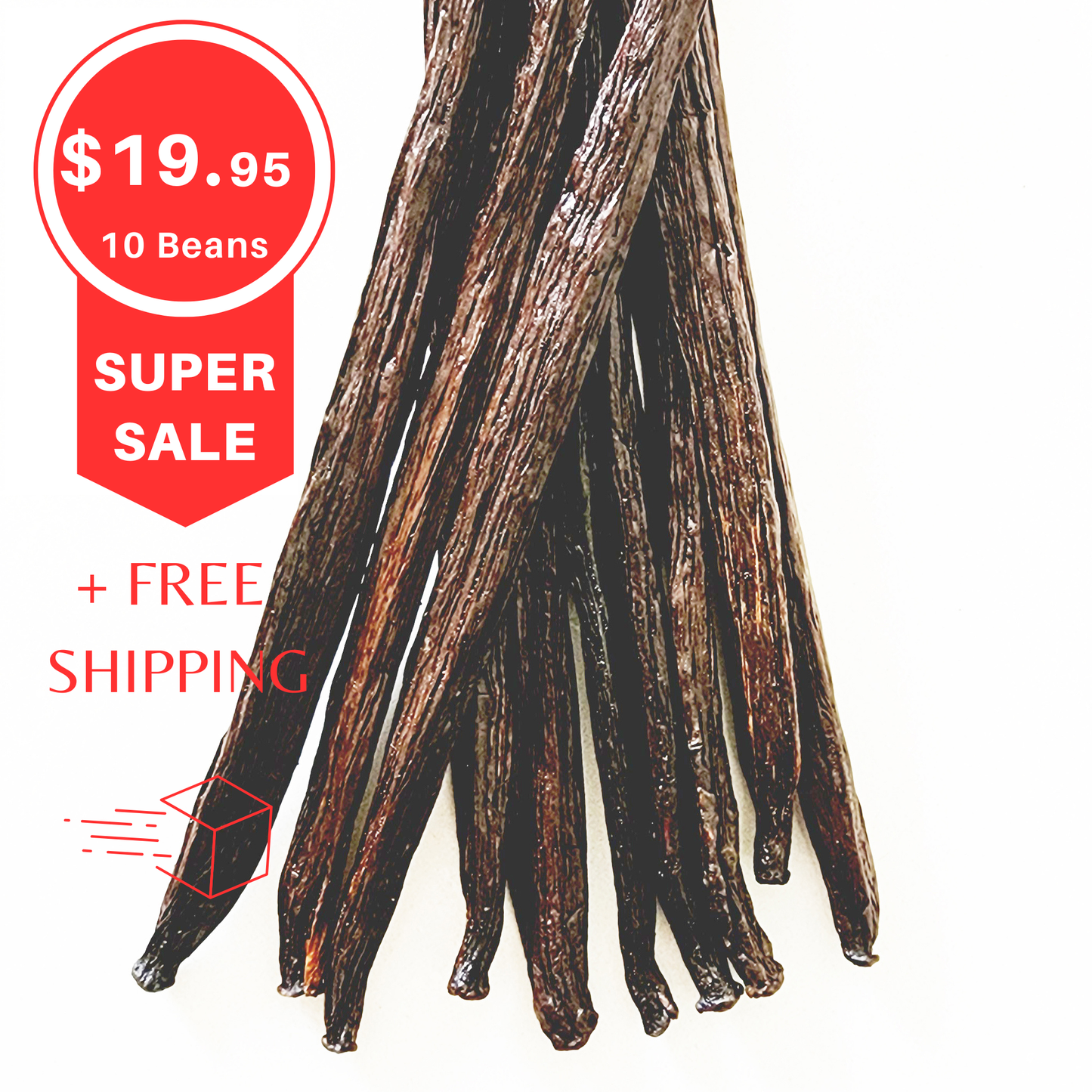 Tahitian Vanilla Beans - Grade B 13cm
