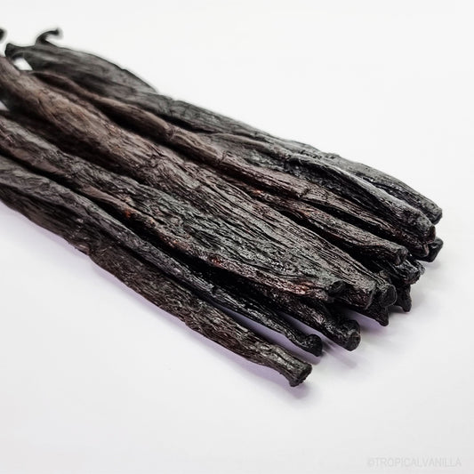 Madagascar Vanilla Beans Bulk Tropical Vanilla