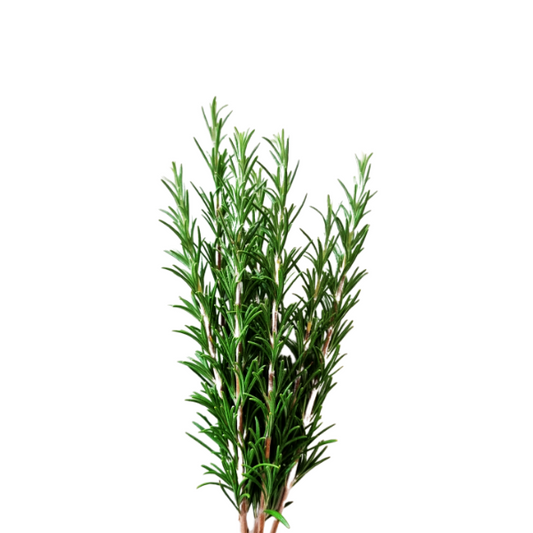 Rosemary
