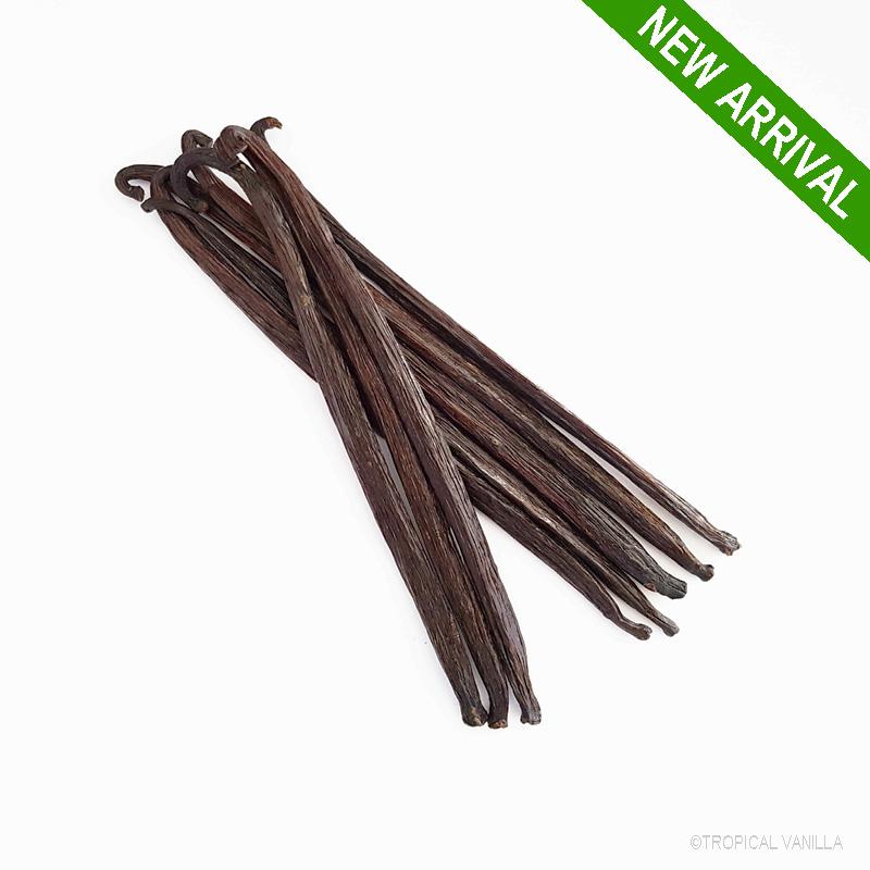 Vanilla Beans Tahitian (Tahiti) Grade B Bulk (14-16cm)