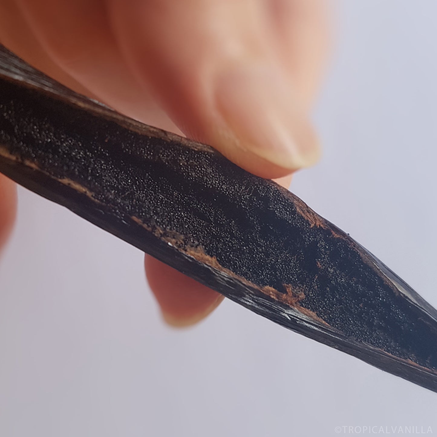 Vanilla Beans Tahitian (Tahiti) Grade A Bulk