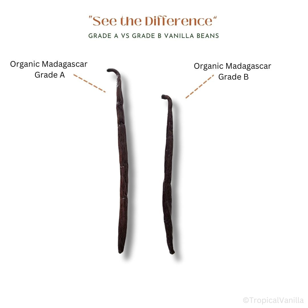 See the Difference Grade A vs Grade B Vanilla Beans 