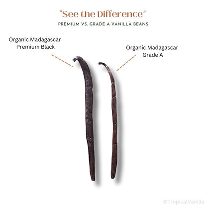 See the Difference: Premium vs. Grade A Vanilla Beans