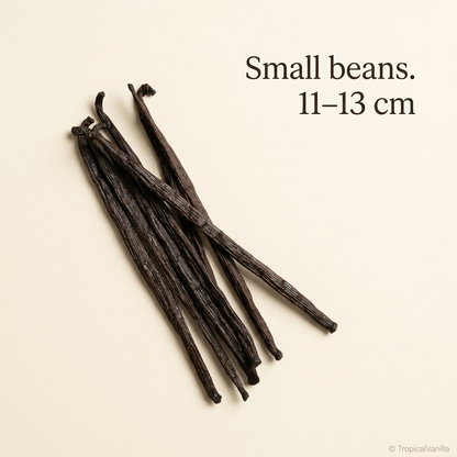Short Madagascar vanilla beans arranged diagonally with an 11–13 cm caption
