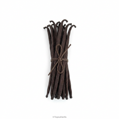 Original vanilla bean photo on a white background